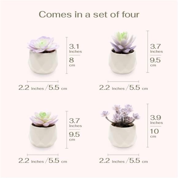 Artificial Purple Cactus Plant in White Ceramic Pots, Set of 4 - Mini Succulent - Picture 11 of 12
